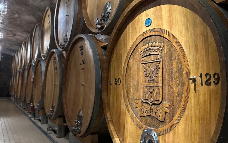 Visita alle Cantine Banfi di Montalcino